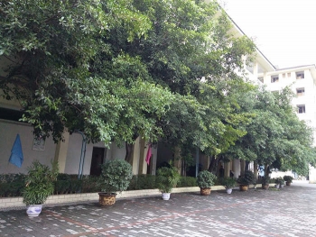 全封閉式學(xué)校一角